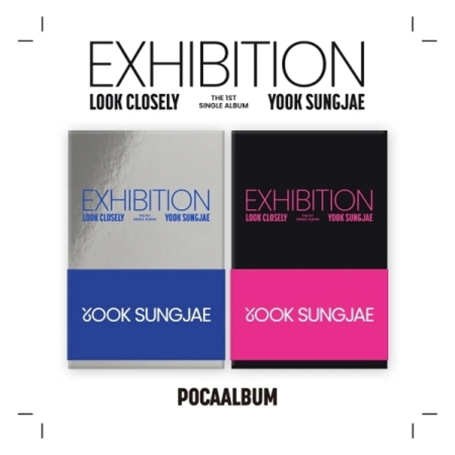 YOOK SUNG JAE - EXHIBITION : LOOK CLOSELY (POCA ALBUM)