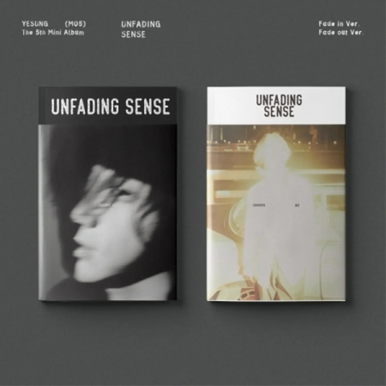 YESUNG - 5TH MINI ALBUM [UNFADING SENSE] (PHOTO BOOK VER.)