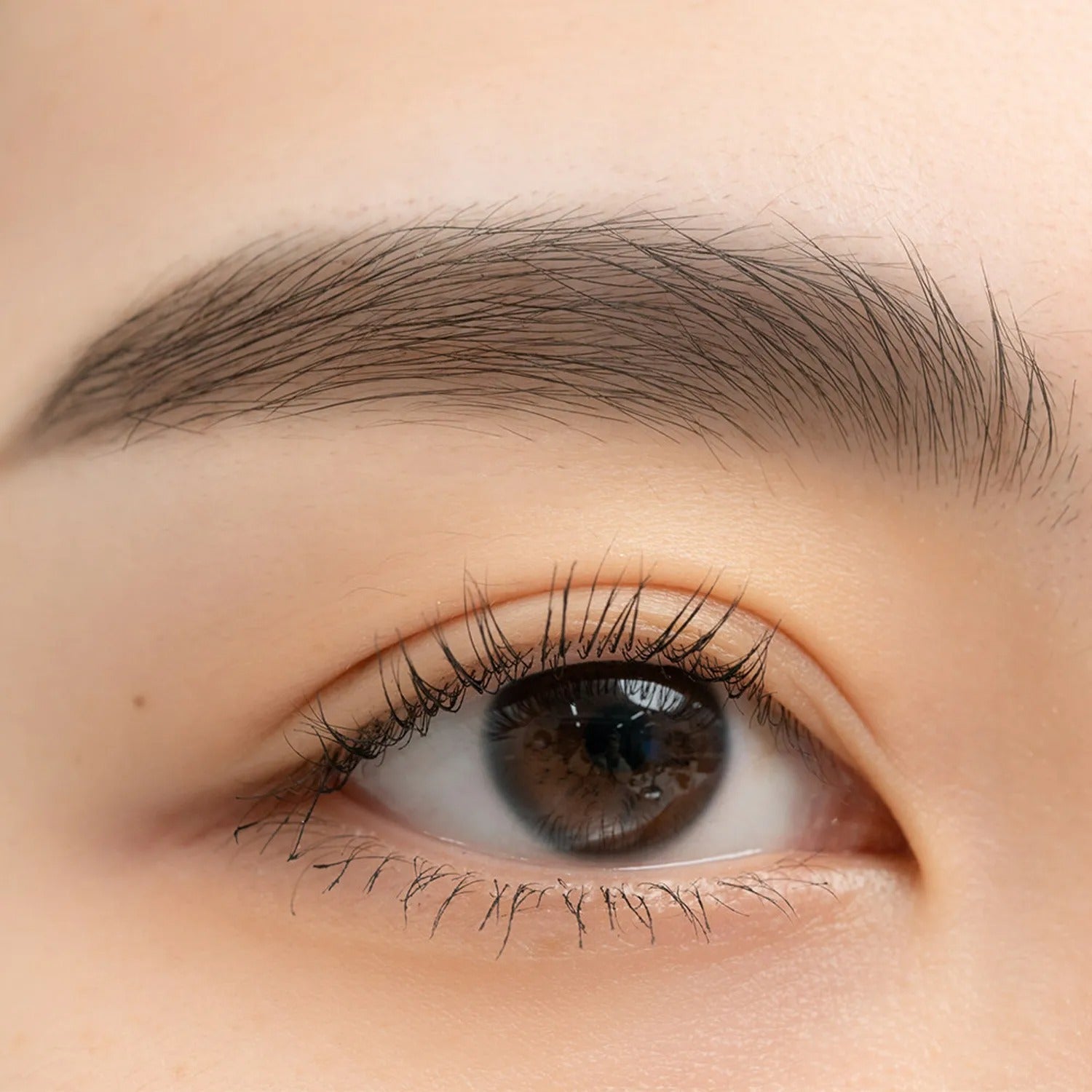 rom&nd Han All Flat Brow 10g