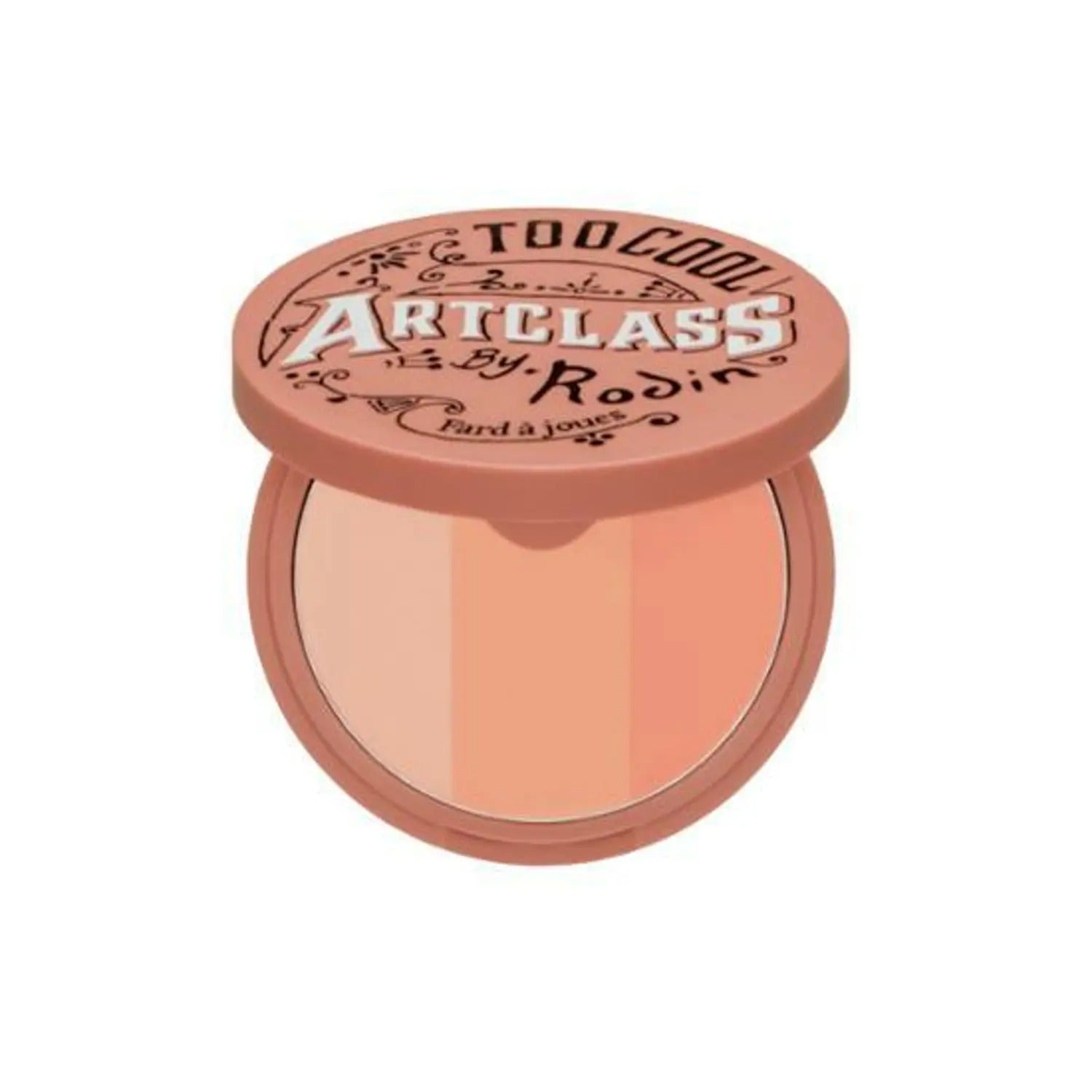 too cool for school Artclass By Rodin Blusher